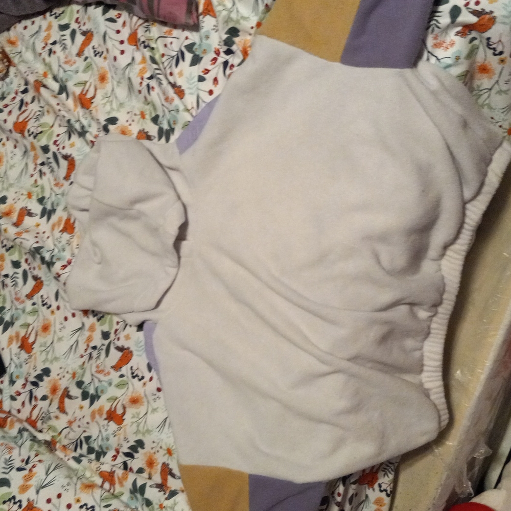 Teens size large Hoodie cropped